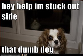 hey help im stuck out side  that dumb dog