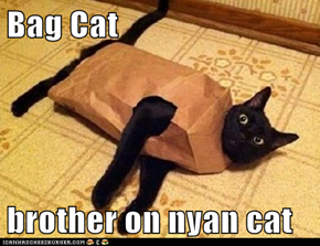 Bag Cat  brother on nyan cat