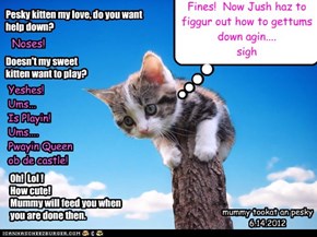 Pesky kitten my love, do you want help down?