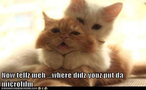 Now tellz meh ...where didz youz put da microfilm