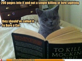 English Literature 220: Cat is Disappointed By This Deceptive Title