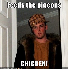 Feeds the pigeons  CHICKEN!