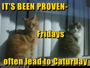 IT'S BEEN PROVEN-       Fridays often lead to Caturday