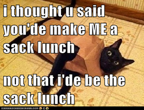 i thought u said you'de make ME a sack lunch  not that i'de be the sack lunch