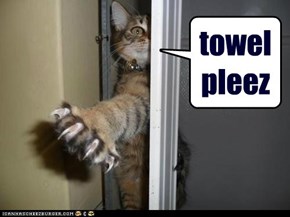 towel pleez