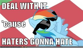 DEAL WITH IT 'cause HATERS GONNA HATE