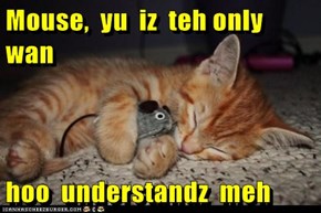 Mouse,  yu  iz  teh only  wan  hoo  understandz  meh