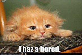 I haz a bored.