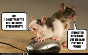 Animal Capshunz: The Curse of Windows Update