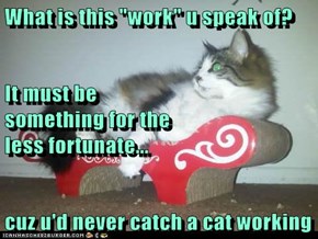 What is this "work" u speak of? It must be                                                           something for the                                                   less fortunate... cuz u'd never catch a cat working