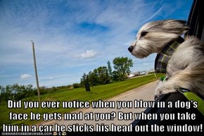 Did you ever notice when you blow in a dog's face he gets mad at you? But when you take him in a car he sticks his head out the window!