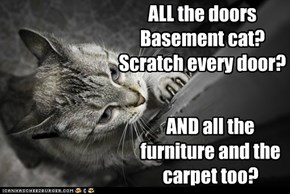 ALL the doors Basement cat? Scratch every door?