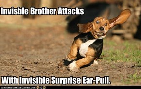 With Invisible Surprise Ear-Pull.