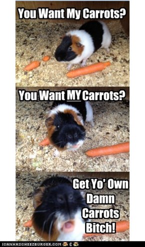 Archie Wants His Carrots To Himself