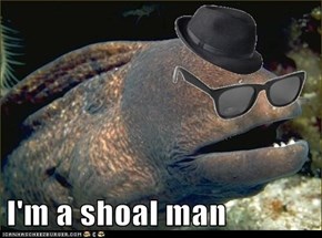I'm a shoal man