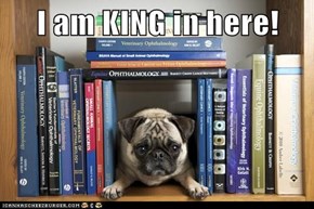 I am KING in here!