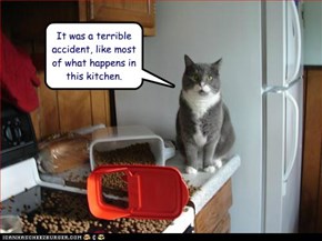 It was a terrible accident, like most of what happens in this kitchen.