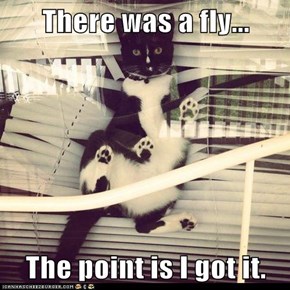 There was a fly...  The point is I got it.