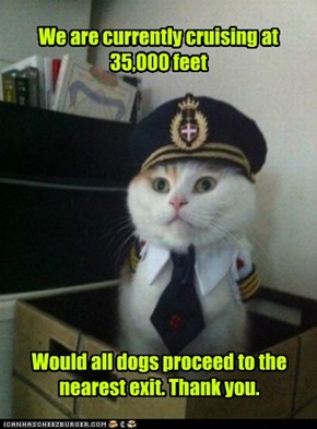 Captain Kitteh; Sorry, We Forgot the Parachutes