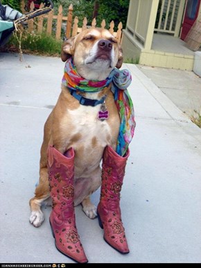 All A Gal Needs is a Good Pair of Boots