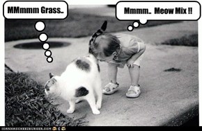 MMmmm Grass..