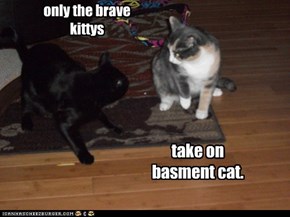 only the brave kittys