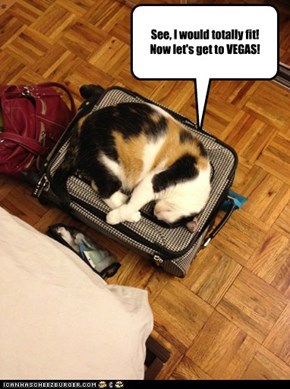See, I would totally fit!  Now let's get to VEGAS!