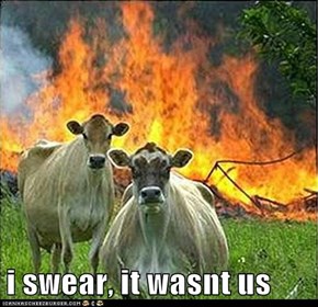 i swear, it wasnt us