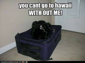 you cant go to hawaii WITH OUT ME!