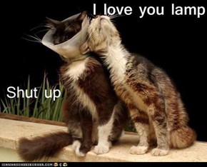 Lamp Love