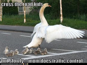 cross the road kids  but slowly.... mom does traffic control