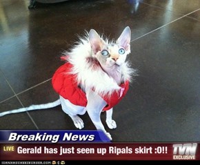 Breaking News - Gerald has just seen up Ripals skirt :O!!