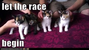 let the race  begin