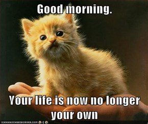 Good morning.  Your life is now no longer your own