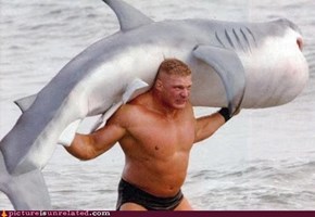 Have You Ever Been So Angry That You Lifted a Shark?