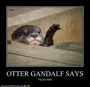 Lord of the Otters