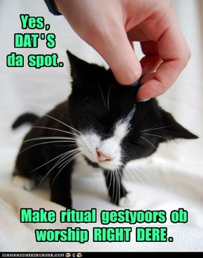Yoo may begins wif da sacwed SKWITCH.