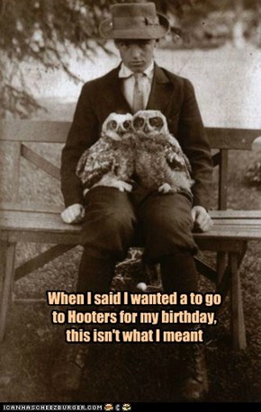 When I said I wanted a to go to Hooters for my birthday, this isn't what I meant