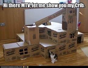 Cat's Crib on MTV