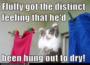 Fluffy got the distinct feeling that he'd   been hung out to dry!