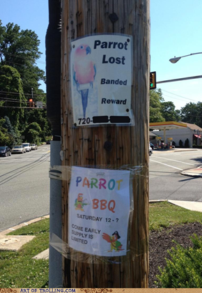 Lost Your Parrot? Check Out My BBQ