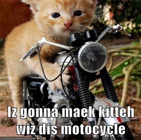 Iz gonna maek kitteh wiz dis motocycle