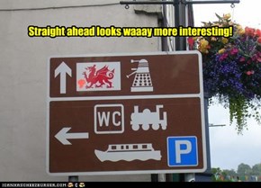 'Shroom-munching Dragons and Daleks