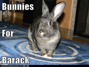 Bunnies For Barack