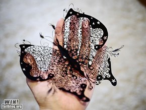 Paper Butterfly WIN