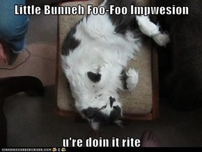 Little Bunneh Foo-Foo Impwesion  u're doin it rite