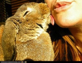 Bunday: Kisses