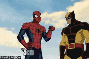 Wolverines Punch