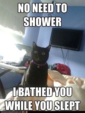 Overly Attached Cat: My Tongue's Sore, But It Was Worth It...