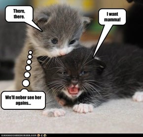 I want mamma!